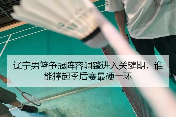 辽宁男篮争冠阵容调整进入关键期，谁能撑起季后赛最硬一环